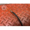 Cable de masse