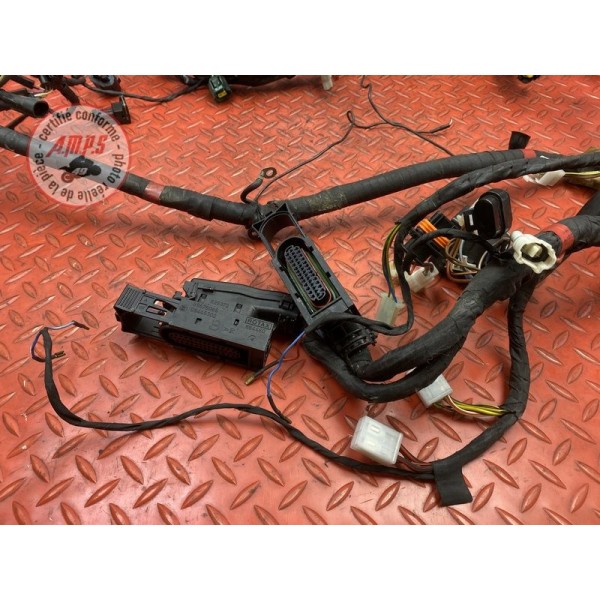 Faisceau électrique principale 