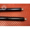 Paire de tube de fourche 