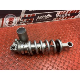 Amortisseur arrière 