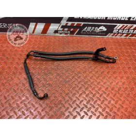 Durite de frein avant 