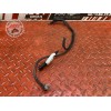 Cable de masse 