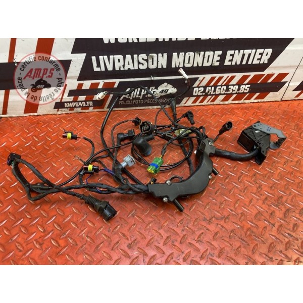 Faisceau électrique avant 