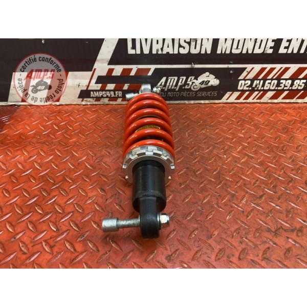 Amortisseur arrière 