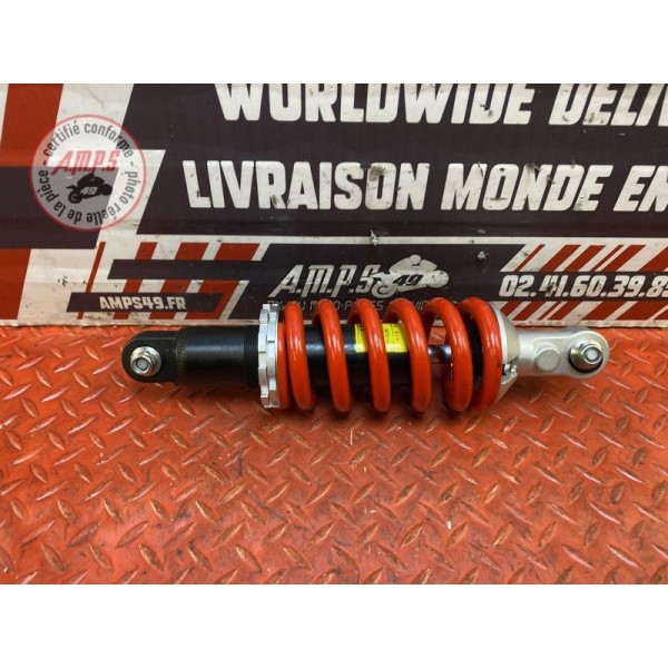Amortisseur arrière 