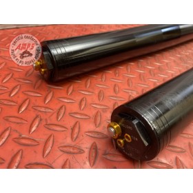 Paire de tube de fourche Yamaha 1000 MT10 2016 à 2020 