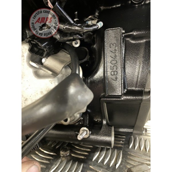 MOTEUR 