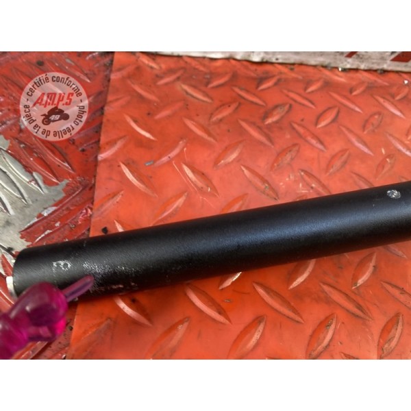 Guidon 