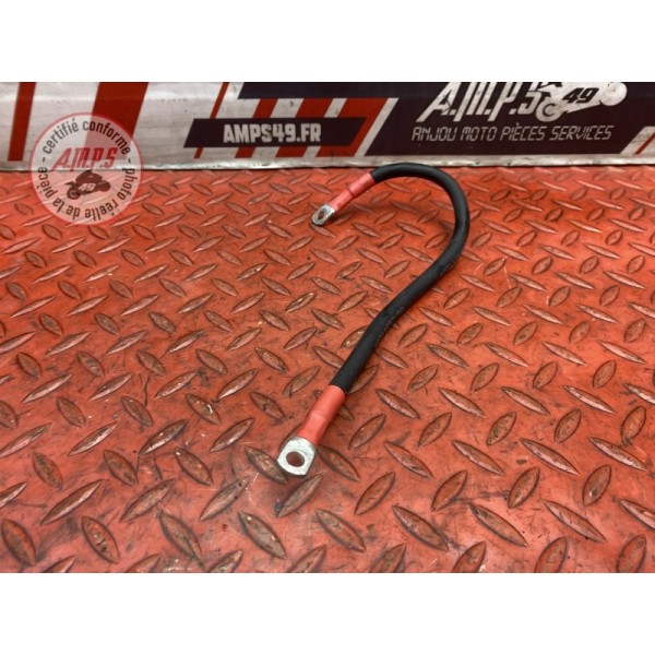 Cable de batterie 