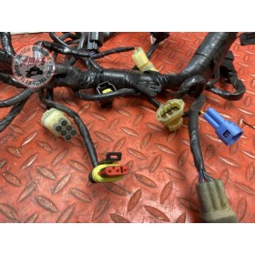 Faisceau moteur 