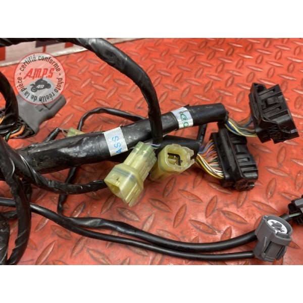 Faisceau moteur 