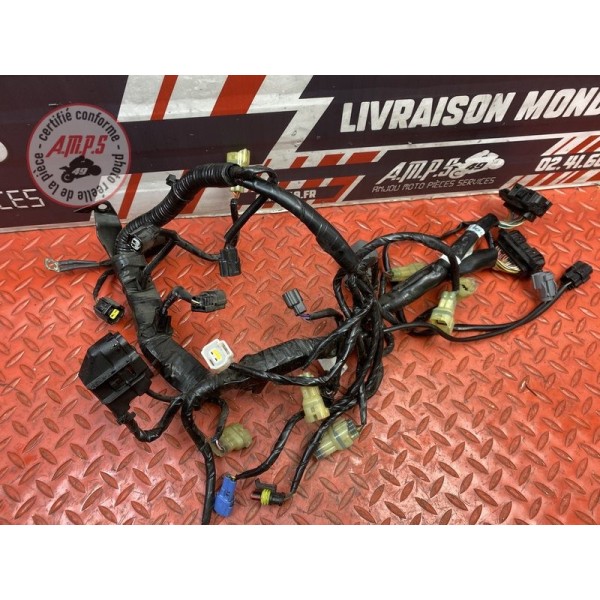 Faisceau moteur 