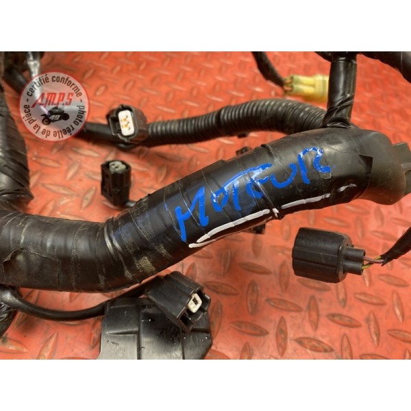 Faisceau moteur 