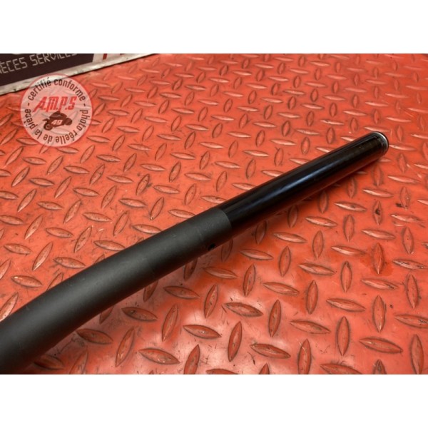 Guidon 