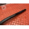 Guidon 