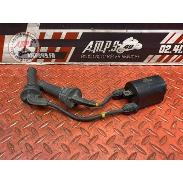 Bobine d'allumage 5-6 Triumph 2300 ROCKET III 2004 à 2009 