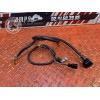 Cable de masse Suzuki GSR 750 2011 à 2016 