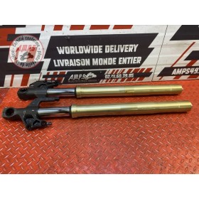 Paire de tube de fourche Suzuki GSR 750 2011 à 2016 