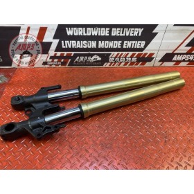 Paire de tube de fourche Suzuki GSR 750 2011 à 2016 