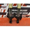 Paire de tube de fourche Suzuki GSR 750 2011 à 2016 