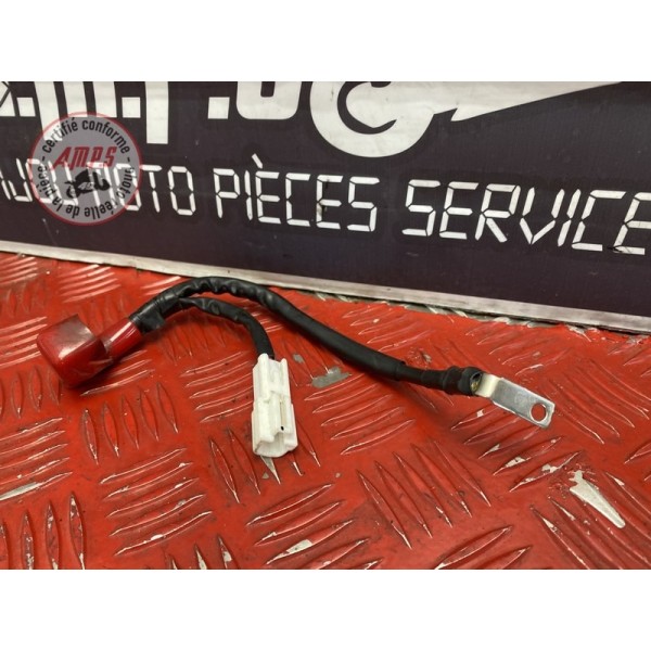 Cable de batterie 