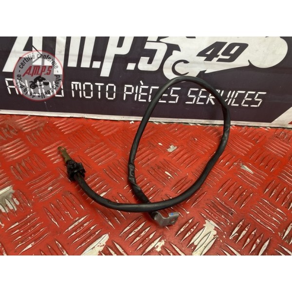 Cable de masse 