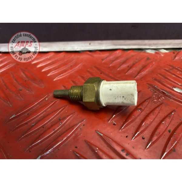 Sonde de température d'eau 