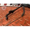 Cable d'accélérateur 