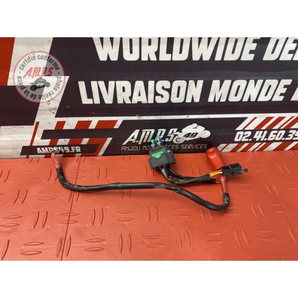 Cable de batterie