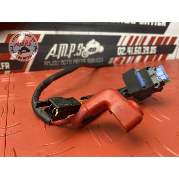 Cable de batterie 