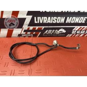 Cable de masse 