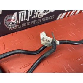 Cable de masse 