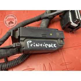 Faisceau électrique principale 