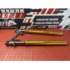 Paire de tube de fourche Aprilia Tuono V4 1100 RR 2015 à 2020 