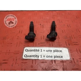 Bobine d'allumage 