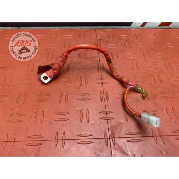 Cable de batterie