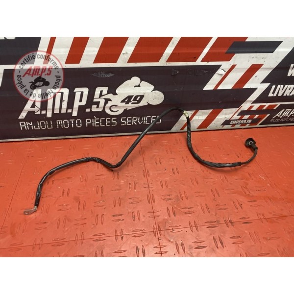Cable de masse 
