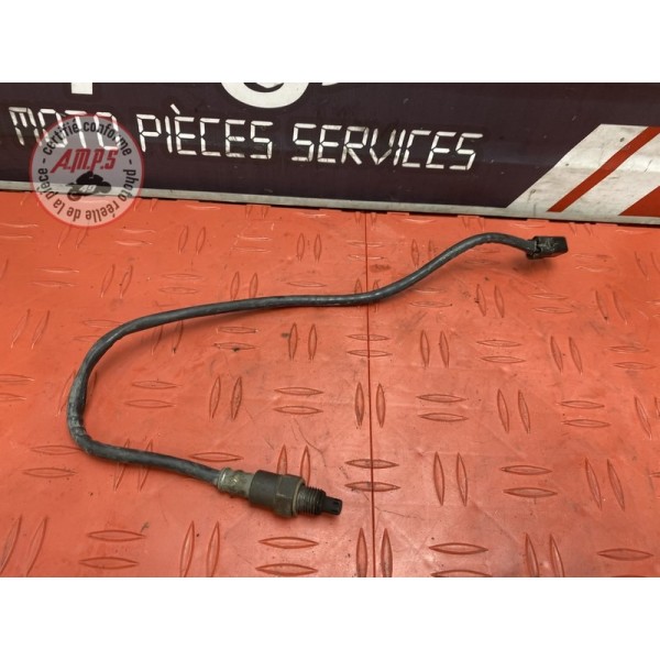 Sonde lambda 