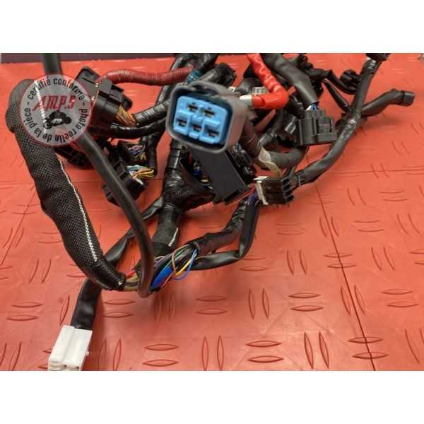 Faisceau électrique principale 