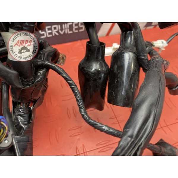 Faisceau électrique principale 