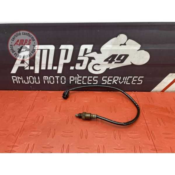 Sonde lambda