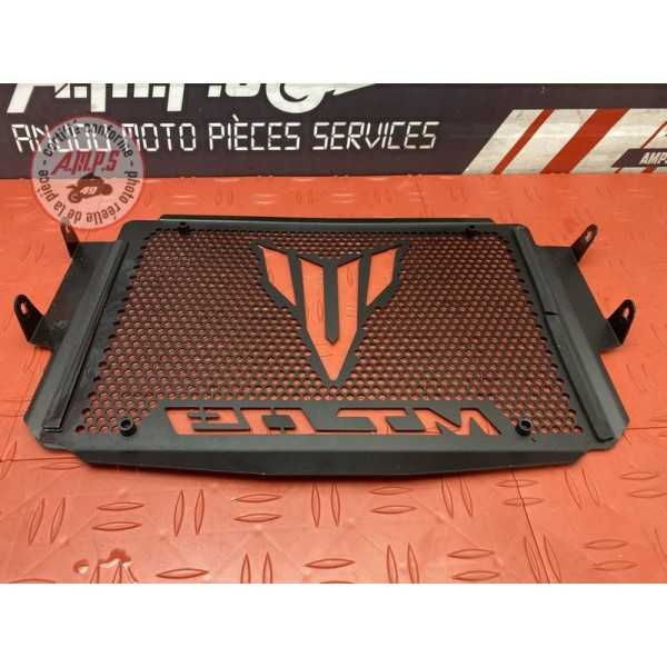 Grille de radiateur 