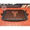 Grille de radiateur 
