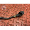 Cable de masse 