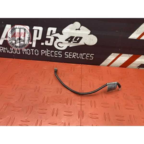 Cable de masse 