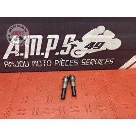 Tendeur de distribution Bmw R1200 GS 2013 à 2016 