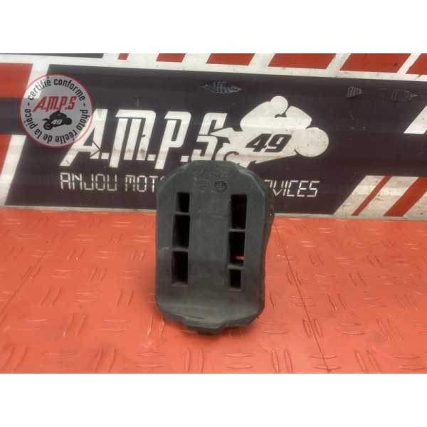 Ram air