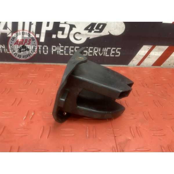 Ram air 