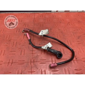 Cable de batterie 