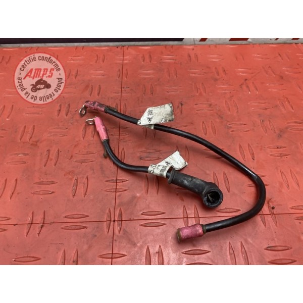 Cable de batterie 